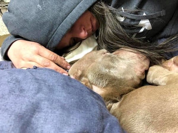 Woman Spends All Night Holding Shelter Dog in Her Arms So He Won't Die Alone |