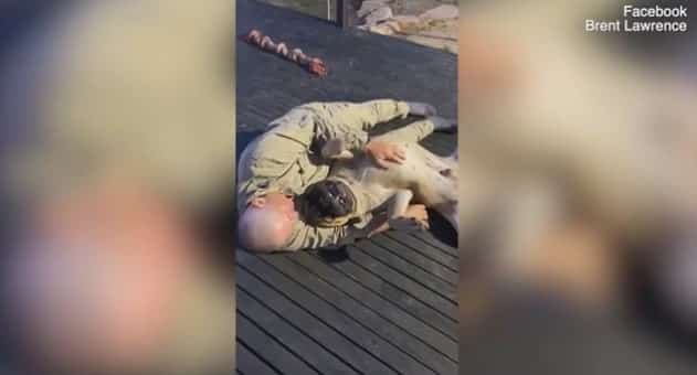 Heartwarming Moment a War Veteran with PTSD Reunites With His Dog After He Was Stolen |