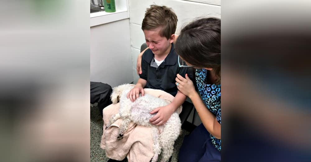 Young Adopted Boy Cries to Hold His Dying Dog As She Goes to Heaven |