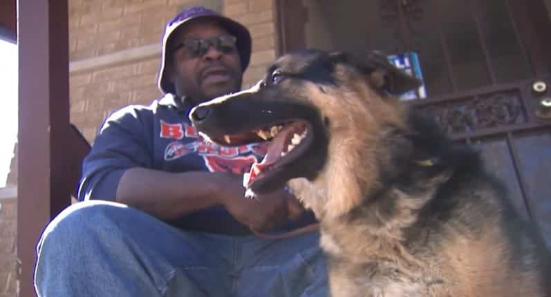 Man Pleads For His Guide Dog's Return After Teens Stole It, Then One of Them Has a Change of Heart |