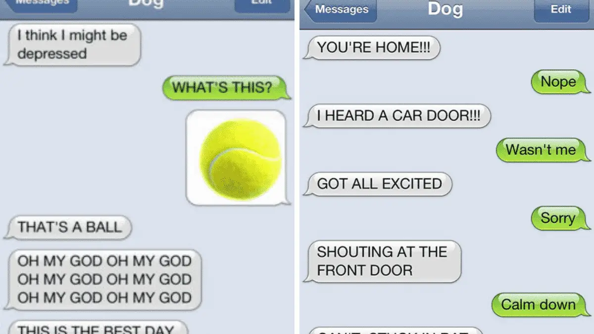 This is What Happens When Your Dog Texts You |