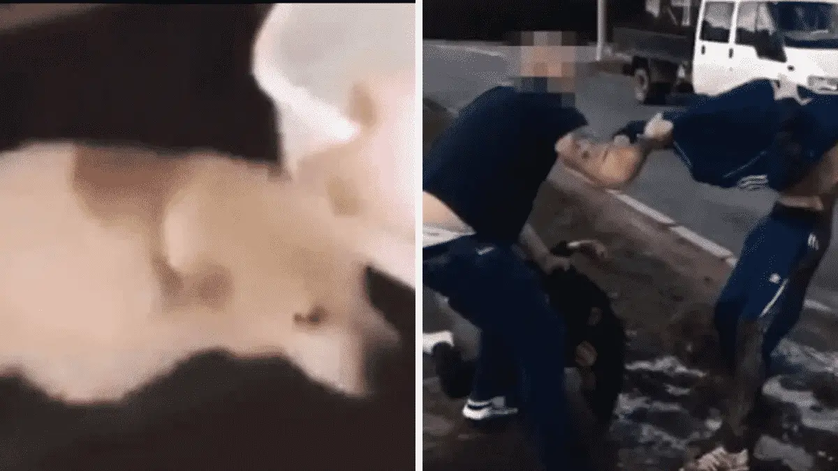 Justice|Two Evil Boys Filmed Moment They Threw Hot Water Over Dog, But Family Took Justice Into Their Own Hands |