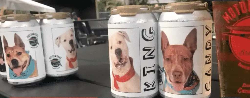 Thanks to This Beer Company, A Pet Parent Reunited with Her Dog Who Went Missing in 2017! |