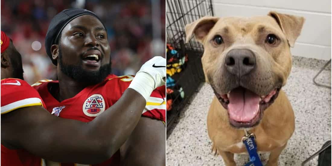 Footballer Celebrates His Super Bowl Win With His Furry Friends By Paying Adoption Fees For All Dogs in This Shelter |