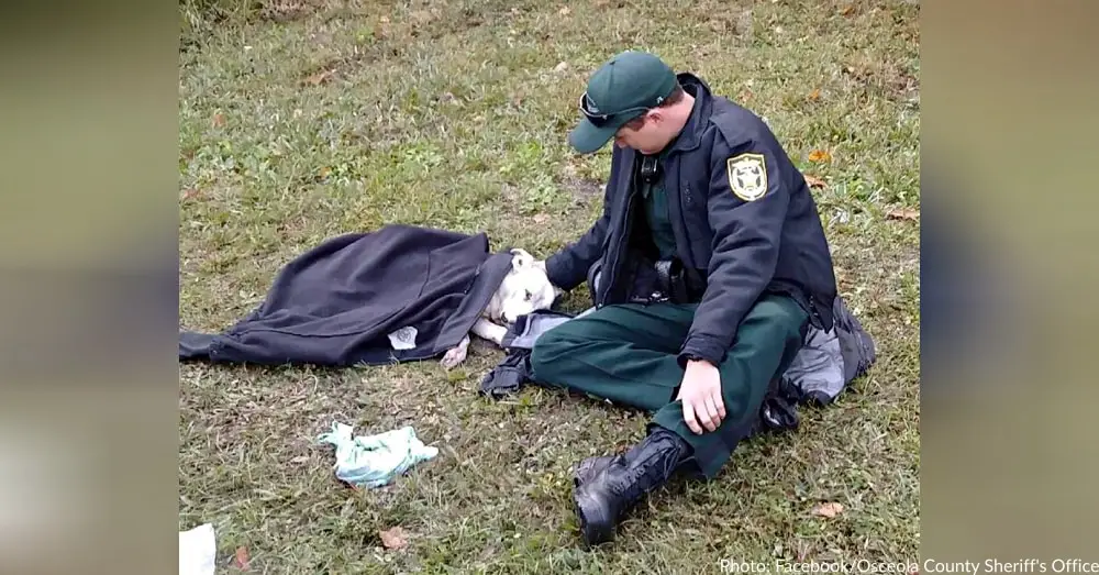 A Cop Finds Dog Hit By Car, Gives World An Example on How To Be a Kind Human Being Above Everything Else |
