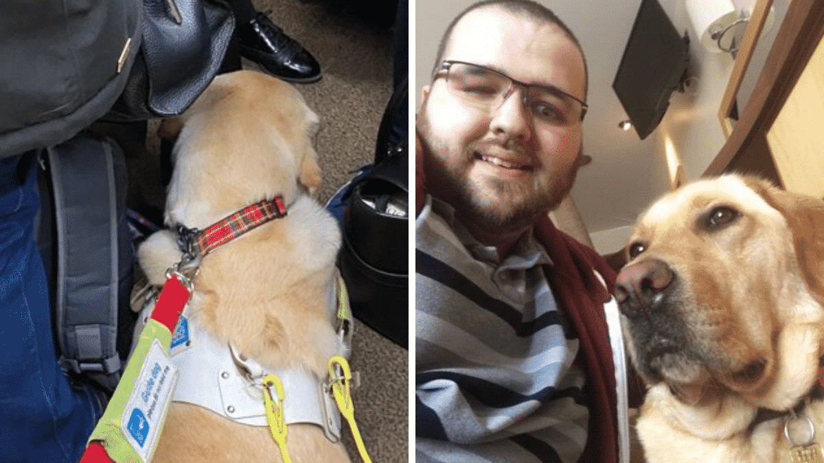 Blind Man With Service Dog Is Denied A Seat on Train |
