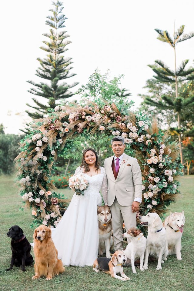 Best Wedding EVER|Seven Dogs Completely Steal Their Owners' Wedding, and Deservingly So! |
