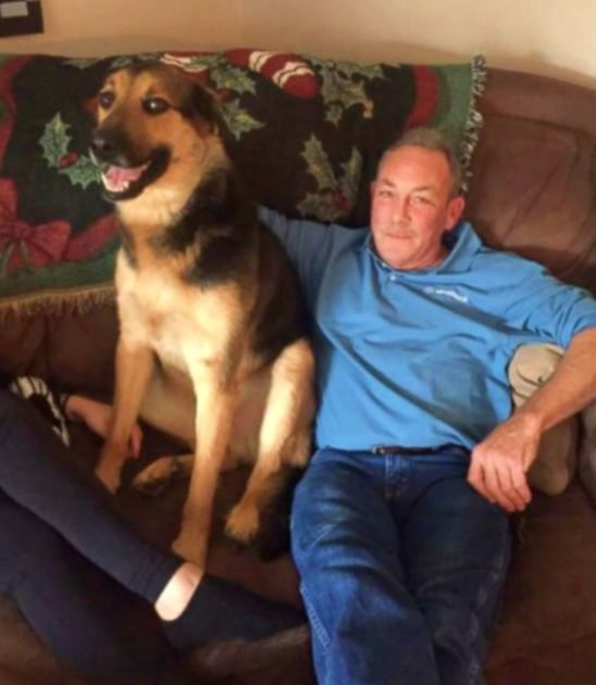 She Left Her Dog With Her Dad, Then Received The Best Texts Ever From Him During The Day |