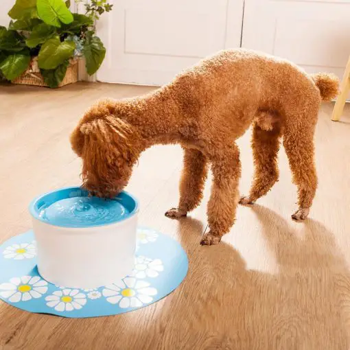 1.6L Flower Style Pet Water Drinking Fountain Stunning Pets