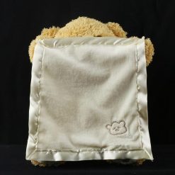 Teddy Bear Hide And Seek Stuffed Talking Bear 9