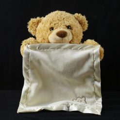 Teddy Bear Hide And Seek Stuffed Talking Bear 10