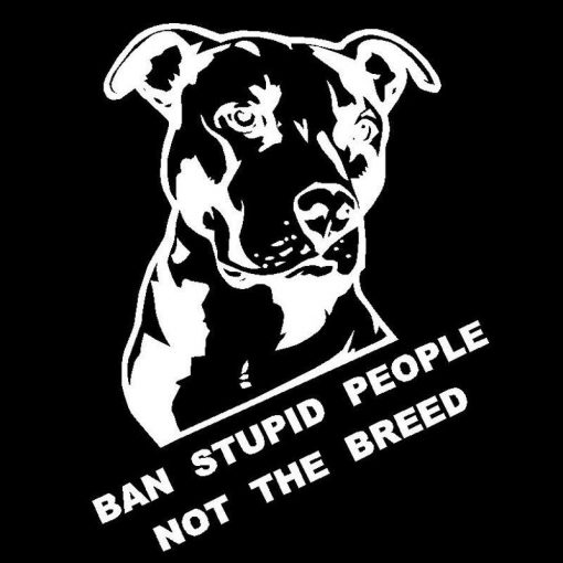 Ban stupid people not the breed "7.8'x10.2'" 5