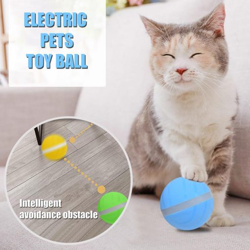 Best 100% Automatic interactive dog toy (USB Rechargeable) 2