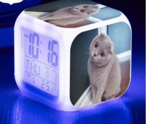 Kitten Changing-colour LED Digital Alarm Clock - GlamorousDogs
