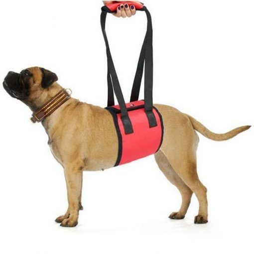 Adjustable Dog Lift Harness | Best Product for Mobility and Recovery Dog Lovers ROI test GlamorousDogs