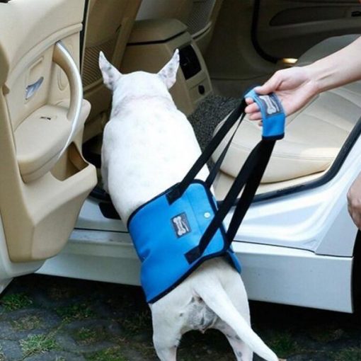 Adjustable Dog Lift Harness | Best Product for Mobility and Recovery Dog Lovers ROI test GlamorousDogs