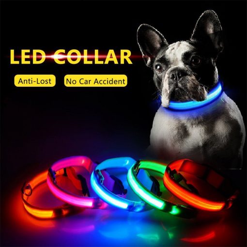 Adjustable LED Dog Collar to Keep Dogs Safe | ???? FREE ???? LED Collar Stunning Pets