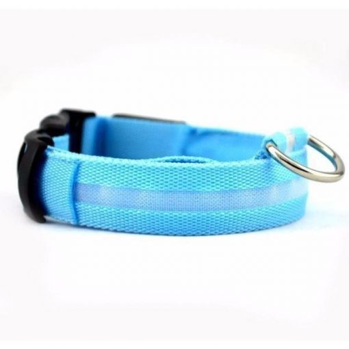 Adjustable LED Dog Collar to Keep Dogs Safe | ???? FREE ???? LED Collar Stunning Pets Blue L