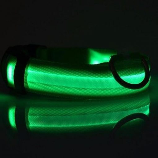 Adjustable LED Dog Collar to Keep Dogs Safe | ???? FREE ???? LED Collar Stunning Pets Green L