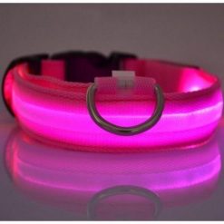 Adjustable LED Dog Collar to Keep Dogs Safe | ???? FREE ???? LED Collar Stunning Pets Pink L 