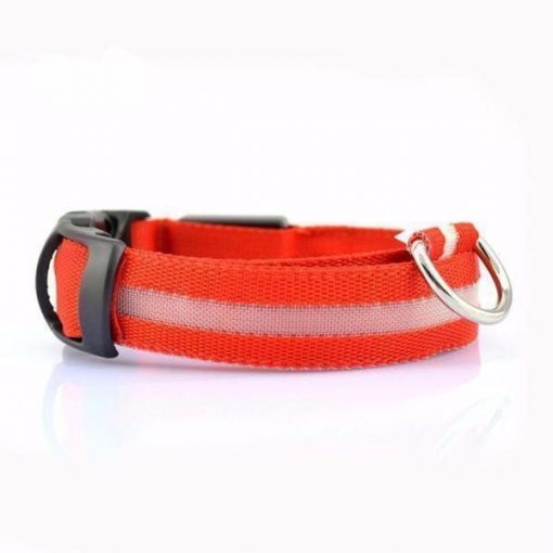 Adjustable LED Dog Collar to Keep Dogs Safe | ???? FREE ???? LED Collar Stunning Pets Red L