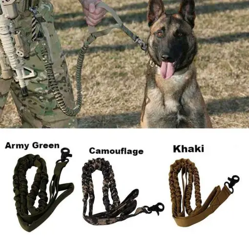 Dog Training Leash