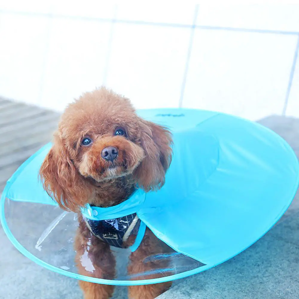 Dog rain jacket hot sale with umbrella