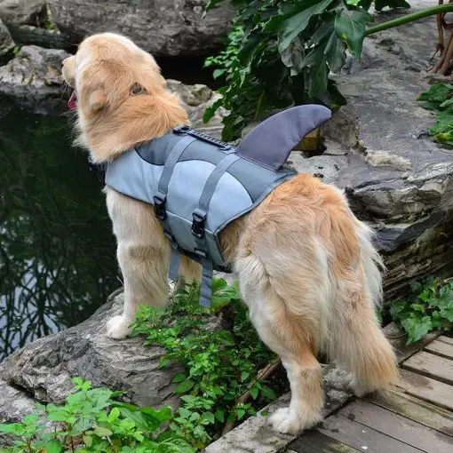 Amazing Dog Life Jacket Stunning Pets