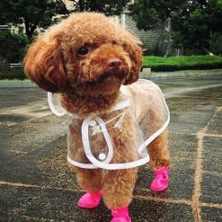 Rain Jacket For Dogs