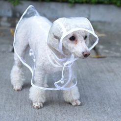 A Raincoat for dogs to Keep Your Dog Protected in Rainy Days Stunning Pets 