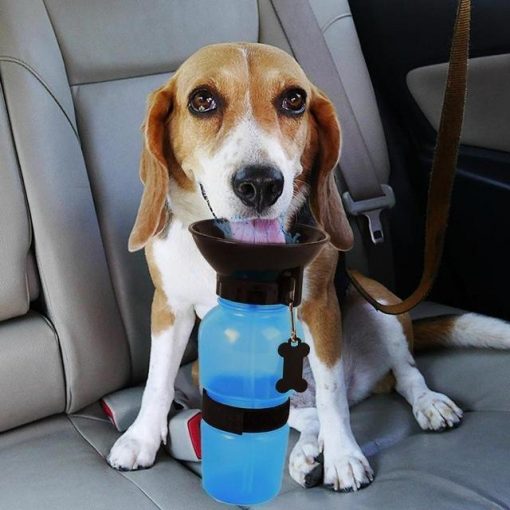 Auto Dog Mug| Dog Portable Water Bottle Stunning Pets