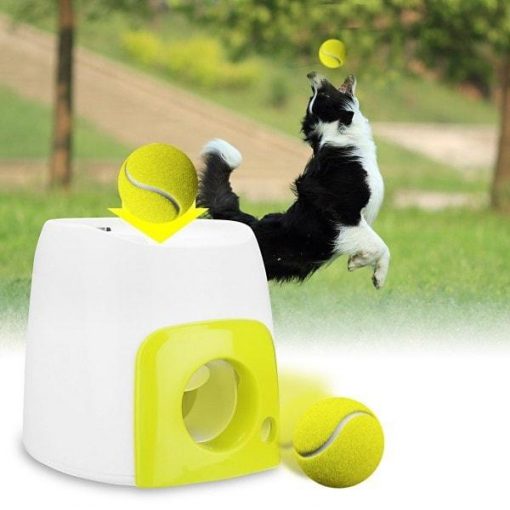 Automatic Ball Launcher | Keep Dogs Active & Entertained Outdoor Toy Stunning Pets