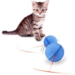 Laser Ball For Cats