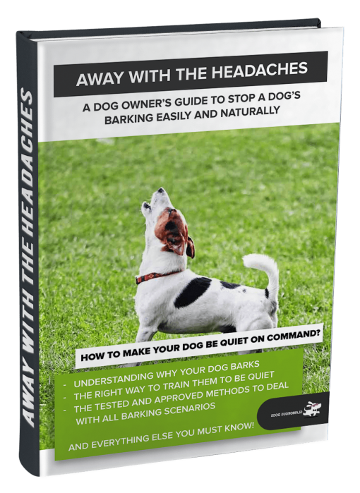 Away With The Headaches! E-Book GlamorousDogs