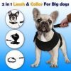 Best Retractable Dog Leash July Test GlamorousDogs 
