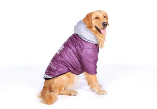 Big Dog clothes Purple Stunning Pets