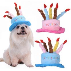 Birthday Cake Hat with Candles Stunning Pets