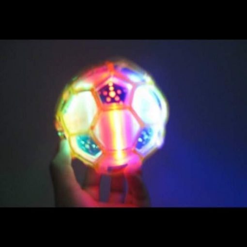 Bouncing Ball with LED Lights and Music GlamorousDogs
