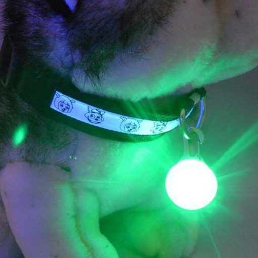 Bright Dog / Cat LED Night Safety Flash Light for Collars Stunning Pets