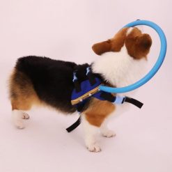 Bumper Collar Guide For Blind Dogs Harness Bumer collar GlamorousDogs 