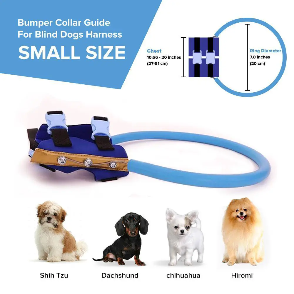 Blind Dog Bumper Collar Blind Dog Harness Glamorous Dogs