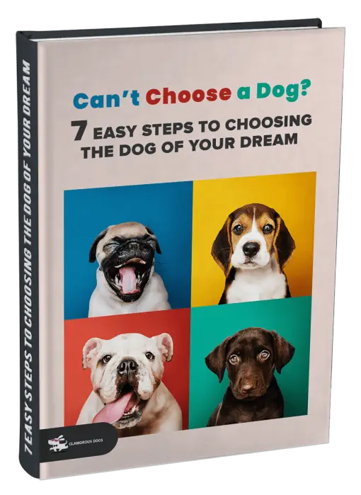 Can’t Choose a Dog? 7 Easy Steps to Choosing the Dog of Your Dream E-Book Glamorous Dogs Shop - Glamorous Accessories for Your Dog + FREE SHIPPING