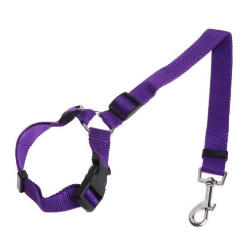 CARSAFE™: Adjustable Dog Safety Seat Belt Seat Belt GlamorousDogs Purple 1pc (Save $16)