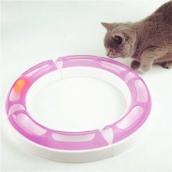 Cat Ball Toy In Track Stunning Pets