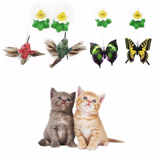 Cat Butterfly Toy Fun Stunning Pets