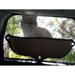 CATCHIL: Cat Bed On Window GlamorousDogs 