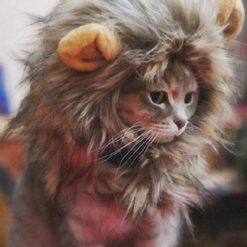 Cat Lion Mane Wig Stunning Pets 