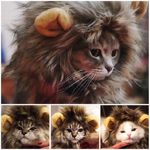 Cat Lion Mane Wig Stunning Pets