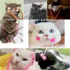 CATMASSAGER™: Relaxing Cat Massage Roller Stunning Pets