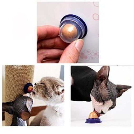 Cat Treat Ball : 3Pcs of High Quality Keeps you Cat Healthy | Free Shipping Glamorous Dogs Shop - Glamorous Accessories for Your Dog + FREE SHIPPING